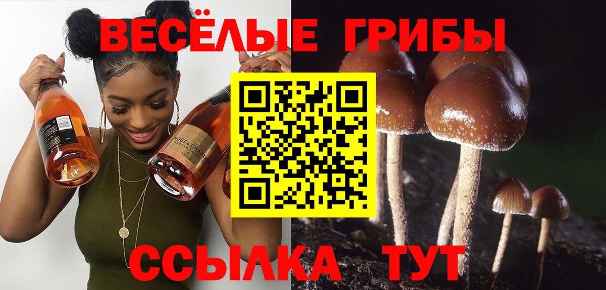 Псилоцибиновые грибы Cubensis Амурск