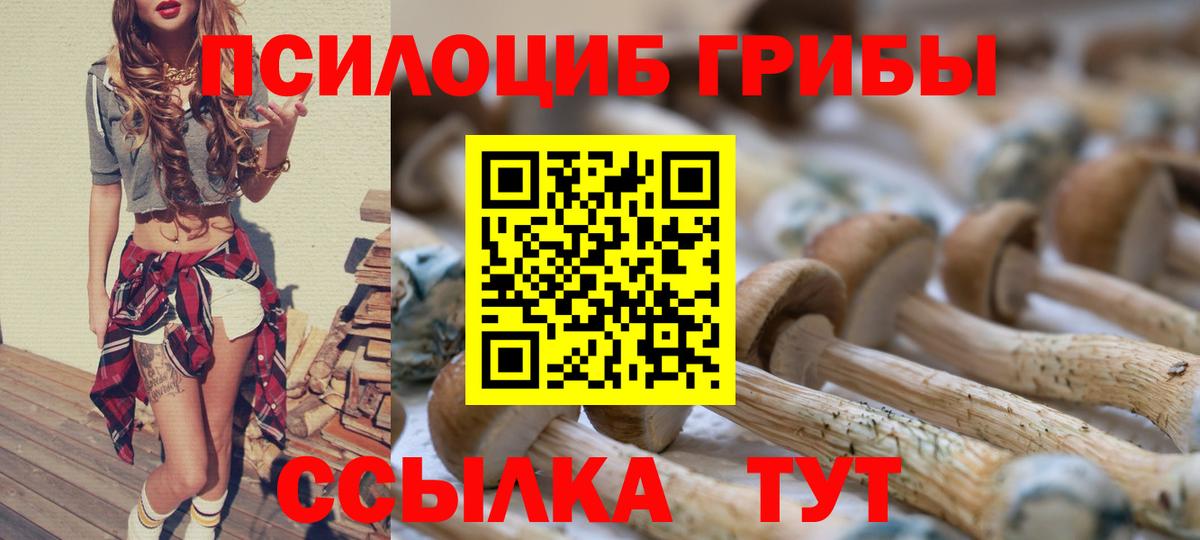 Амурск  Галлюциногенные грибы Psilocybine cubensis  Вход с VPN 